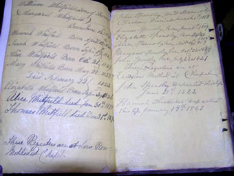 Sarah Whitfield bible rear page