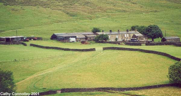 Dyke Heads Farm &copy;Cathy Connolley 2001