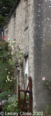 Healaugh - Lock Heather