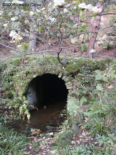 Lead mine entrance at Booze Wood ©2006 Lesley Close