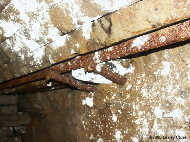 Lead mine roof support - Booze Wood &copy;2006 Lesley Close